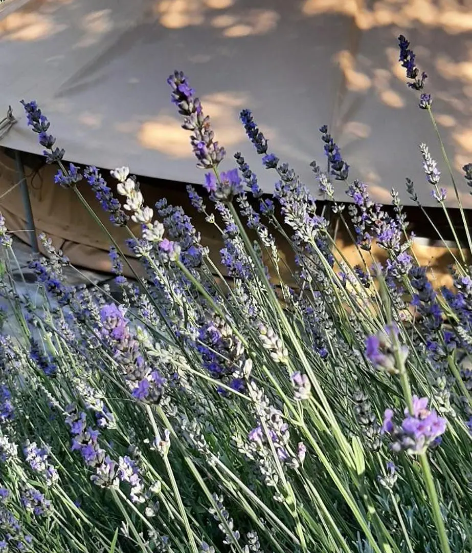 Casa di campagna Serraiola Alta Monterotondo  Italia