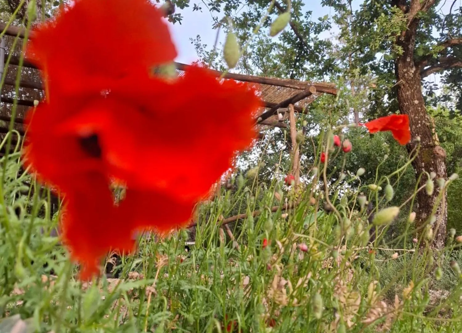 Casa di campagna Serraiola Alta Monterotondo  Italia