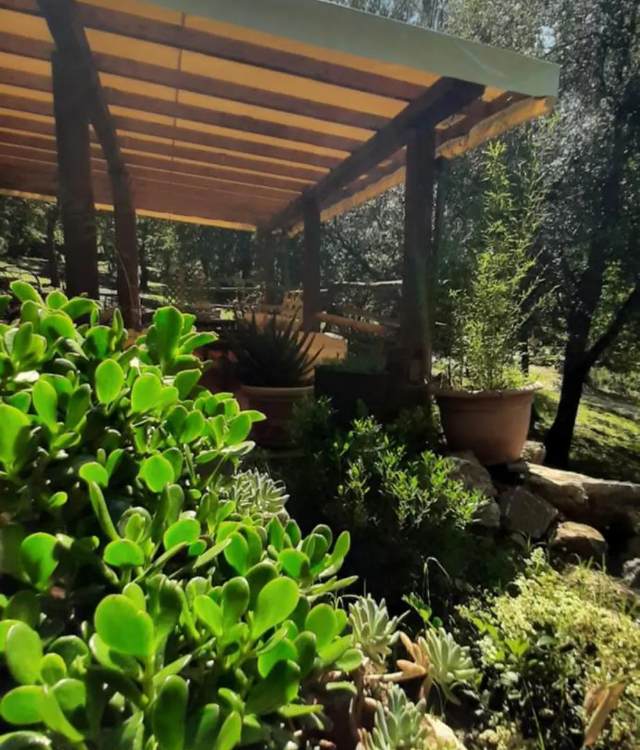Agriturismo E Glamping Serraiola Alta Monterotondo  0*, Monterotondo (Tuscany)